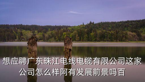 想應聘廣東珠江電線電纜有限公司這家公司怎么樣阿有發展前景嗎百