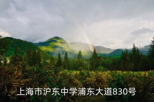 上海市滬東中學浦東大道830號