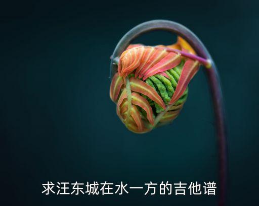在水一方吉他譜，有誰知道終極一家里大東唱的那個在水一方的吉他曲五線譜