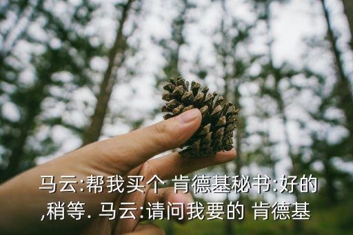馬云肯德基,馬云不買全肯德基只買不全麥當勞業務