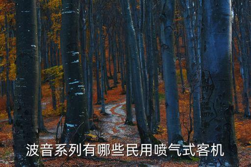 民用飛機(jī)，波音系列有哪些民用噴氣式客機(jī)