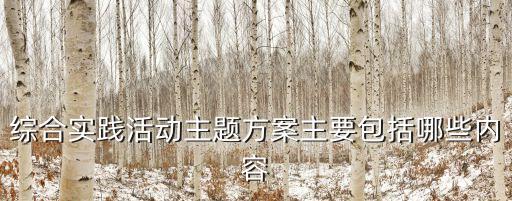 綜合實踐活動方案，綜合實踐方案 怎么寫