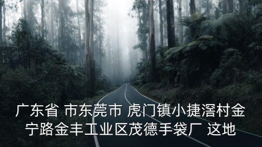 廣東省 市東莞市 虎門鎮小捷滘村金寧路金豐工業區茂德手袋廠 這地