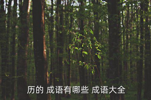 歷的成語,用日歷記錄過時事物或舊經歷