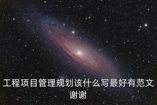 工程項目管理規劃該什么寫最好有范文謝謝