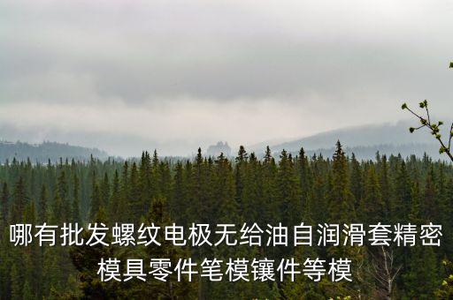 哪有批發(fā)螺紋電極無給油自潤滑套精密模具零件筆模鑲件等模
