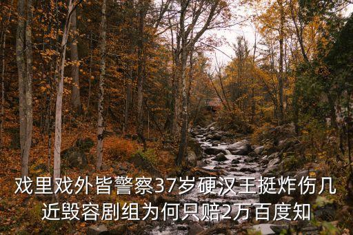 戲里戲外皆警察37歲硬漢王挺炸傷幾近毀容劇組為何只賠2萬百度知