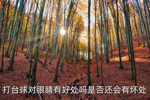 打臺球的好處，天天打臺球對身體有好處嗎