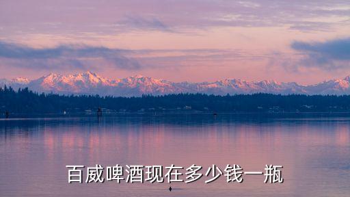 百威啤酒現(xiàn)在多少錢一瓶
