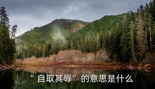 自取其辱,自取其辱意思什么?