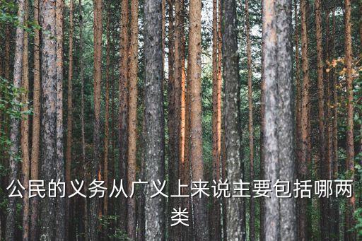 公民的基本義務有哪些，公民的義務有哪些