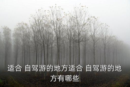 適合 自駕游的地方適合 自駕游的地方有哪些