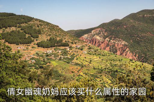 家園10，倩女幽魂奶媽應該買什么屬性的家園