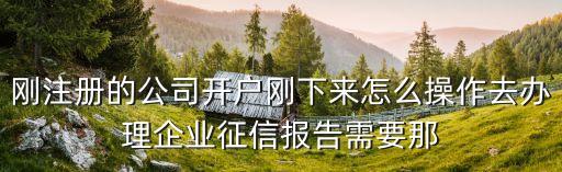 東莞企業(yè)征信在哪里開，東莞市打征信報(bào)告在什么地方