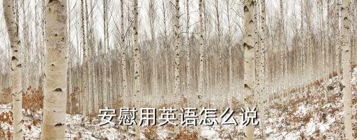 安慰用英語怎么說