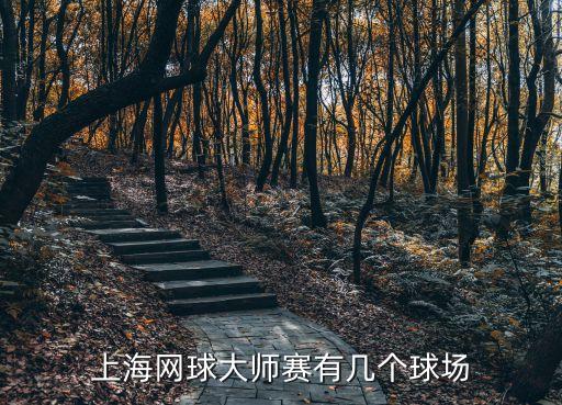 上海網球大師賽有幾個球場