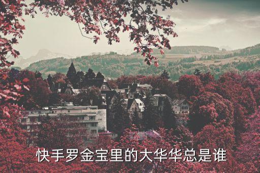 快手老總是誰,快手如何關注羅金寶的直播