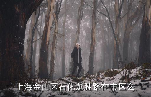 上海市龍勝路是哪個區，金山石化龍勝路228號在上海哪里