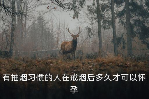 戒煙多久可以懷孕，有抽煙習(xí)慣的人在戒煙后多久才可以懷孕