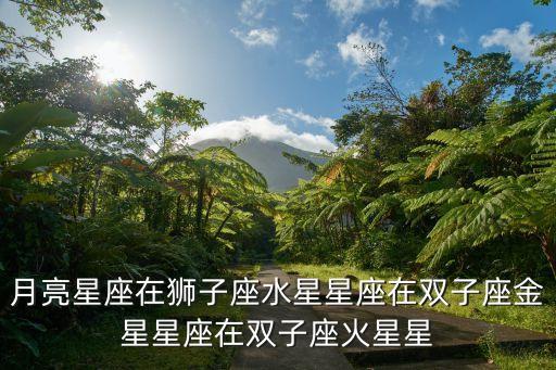 月亮星座在獅子座水星星座在雙子座金星星座在雙子座火星星