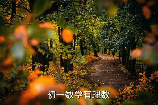 初一數(shù)學(xué)有理數(shù)，初一數(shù)學(xué)有理數(shù)