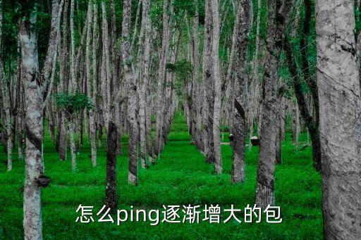 怎么ping逐漸增大的包
