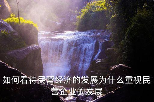 如何看待民營(yíng)經(jīng)濟(jì)的發(fā)展為什么重視民營(yíng)企業(yè)的發(fā)展