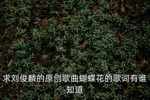 求劉俊麟的原創(chuàng)歌曲蝴蝶花的歌詞有誰知道
