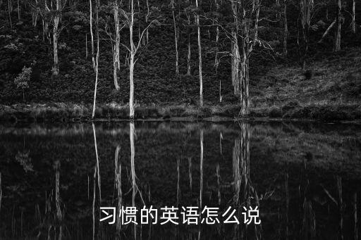 習慣的英語怎么說