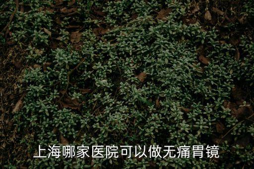 上海哪家醫(yī)院可以做無痛胃鏡