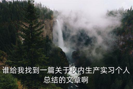 誰給我找到一篇關(guān)于校內(nèi)生產(chǎn)實(shí)習(xí)個(gè)人總結(jié)的文章啊