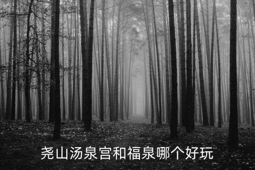 堯山湯泉宮和福泉哪個好玩