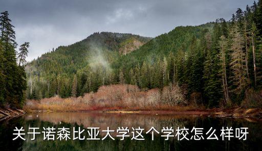 關(guān)于諾森比亞大學(xué)這個學(xué)校怎么樣呀