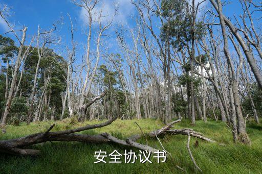 安全協議書，旅游安全協議有哪些