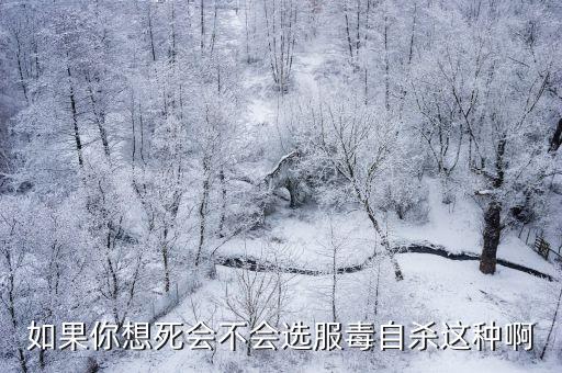 服毒自殺，兩人鬧離婚一方服毒自殺