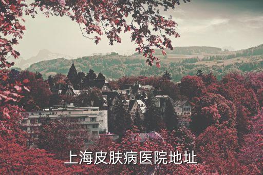 上海皮膚病醫院地址