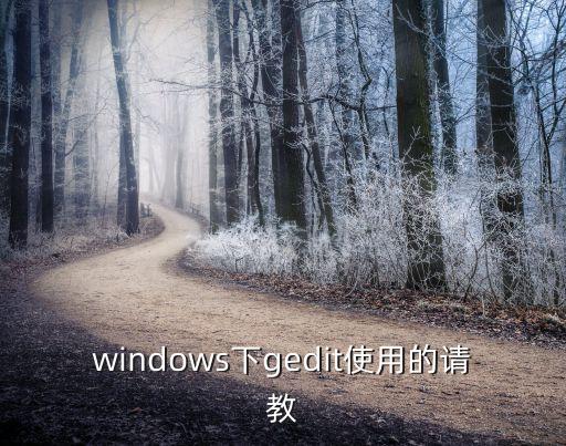 windows下gedit使用的請教