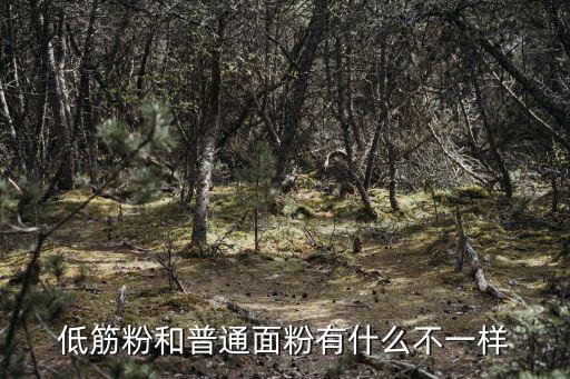 低筋面粉和普通面粉的區別，什么是低筋面粉 與普通面粉有什么區別