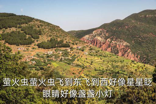螢火蟲(chóng)螢火蟲(chóng)飛到東飛到西好像星星眨眼睛好像盞盞小燈
