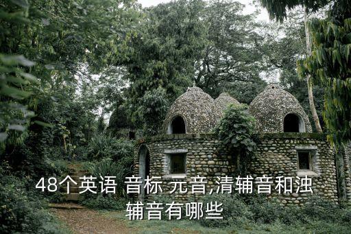 元音音標有哪些,兩個音位組成一個多音符的歌曲