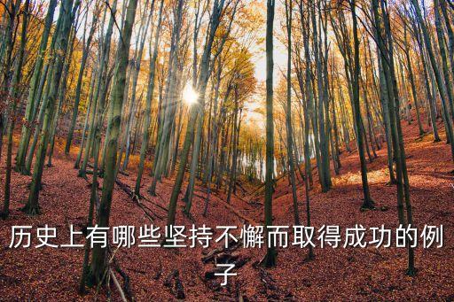 歷史上有哪些堅(jiān)持不懈而取得成功的例子