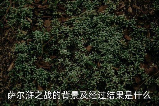 薩爾滸之戰的背景及經過結果是什么