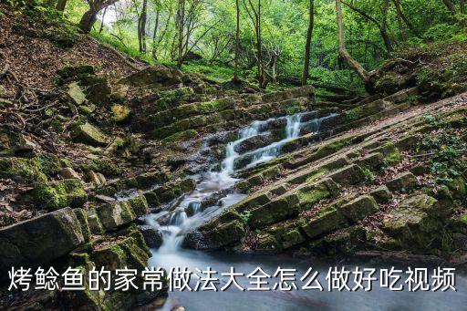 烤鯰魚的家常做法大全怎么做好吃視頻
