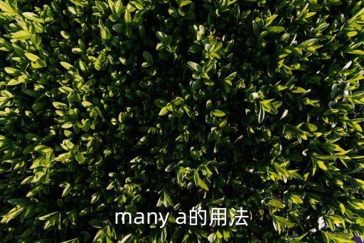 many a的用法