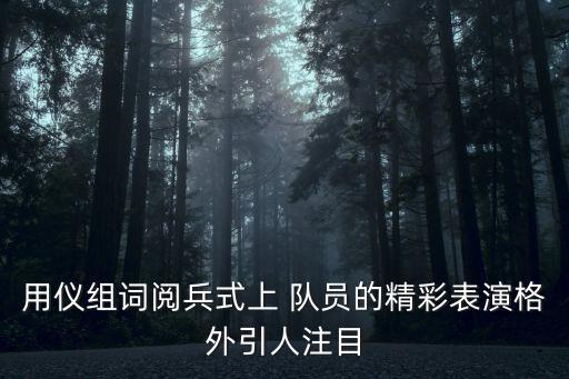 用儀組詞閱兵式上 隊員的精彩表演格外引人注目