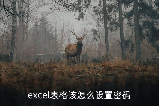 表格設置密碼，excel如何設置密碼