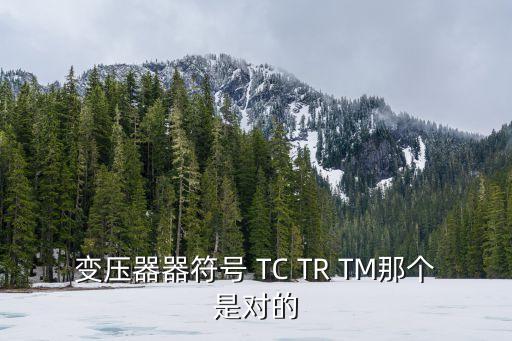 變壓器英文，變壓器器符號(hào) TC TR TM那個(gè)是對(duì)的