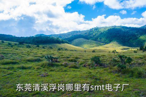 東莞清溪浮崗哪里有smt電子廠