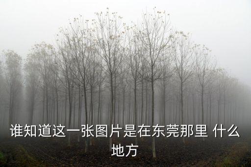 東莞長安眾福地產相片，誰知道這一張圖片是在東莞那里 什么地方