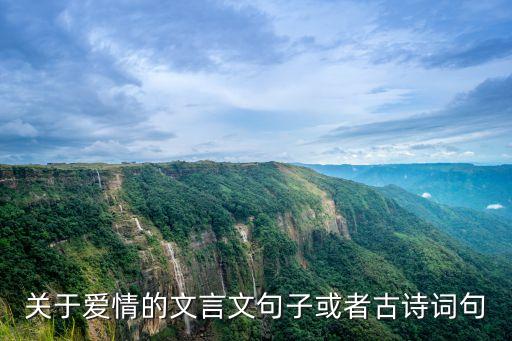 關于愛情的文言文句子或者古詩詞句